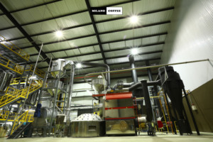 Café moulu Robusta, emballage personnalisé en vrac, fabricant, café Arabica de haute qualité, 1 kg, torréfaction foncée, OEM, vente en gros - Product Image 2