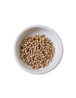 Poudre de poivre blanc standard d'exportation 630GL de grande pureté, arôme fort, emballage au détail et en vrac disponible