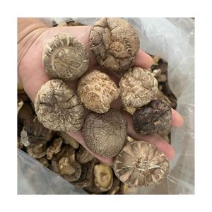 MOST WANTED Vacuum Fried Shiitake Mushroom For Efficient Gourmet Ready To Eat Dish And Supermarket Retail Cargoes - Product Image 2