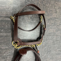 Licol d'entraînement en cuir de haute qualité pour chevaux arabes de petite taille, avec longe en cuir indien et quincaillerie en laiton massif