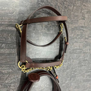 อานม้าหนังแท้คุณภาพสูงสำหรับม้าอาหรับขนาดเล็ก พร้อมสายจูงหนังอินเดีย ฮาร์ดแวร์ทองเหลืองแท้ - Product Image 4