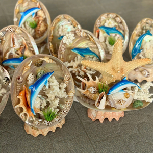 Vietnam Factory Supply Decorative Sea <b>Shell</b> for Aquarium Fish Tank Natural Small <b>Shell</b> Bulk Export Supplier - Product Image 1