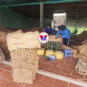 HYACINTHE D'EAU SÉCHÉE Matière Première - Fibre Naturelle du Vietnam pour Meubles, Artisanat, Tressage de Paniers Durée de Conservation de 24 Mois - Mme Kelly - Product Image 3