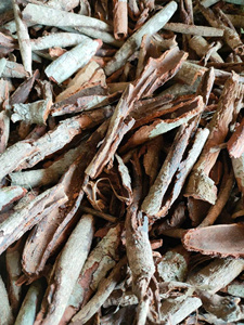 Poudre de Joss Pure Naturelle, Poudre de Bois d'Écorce de Litsea, Matériau Adhésif Biologique pour Encens, Vente en Gros en Vrac, Prix d'Usine - Product Image 6