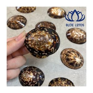 Conchas de limpias azules trituradas ecológicas, material a granel para posavasos de resina, ¡muy vendidas! - Product Image 1