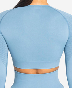 XL Size Women's Light <b>Blue</b> Long Sleeve <b>Crop</b> <b>Top</b> Solid Color Mesh Panel Seamless Yoga <b>Top</b> Breathable Skinny Fit Workout Wear - Product Image 4