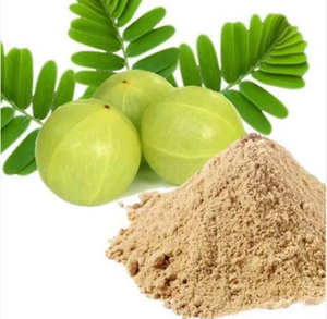 OEM/ODM Polvo de Fruta de Amla 100% Puro, Fuente Rica en Vitamina C, Polvo de Jugo de Grosella India de Grado Alimenticio para Smoothies y Bebidas - Product Image 4