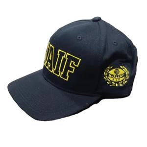 หมวกแก๊ปผู้ชายคุณภาพสูง 6 แผง ปักโลโก้ตามสั่ง หมวกเบสบอลแบบ Dad Hat พร้อมโลโก้ปัก - Product Image 1