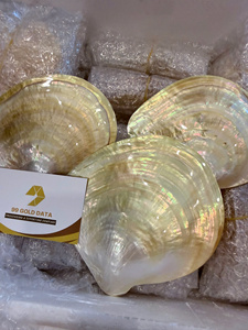 PLAT EN COQUILLE POLI 15-30CM |   Perle brillante 100% naturelle rose, noire et jaune |   PLAQUE À LUSTRE RAINBOW MULTICOLORE - Product Image 2