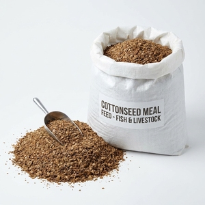 Farine de coton de haute pureté 98% sèche pour aliments composés – Approvisionnement en vrac de farine de coton de qualité supérieure - Product Image 1