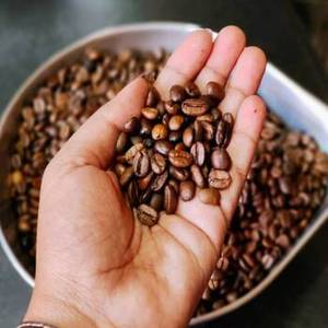 เมล็ดกาแฟคั่วอินเดียฤดูกาลใหม่ คัดสรรอาราบิก้าคุณภาพสูง กลิ่นหอมเข้มข้น รสชาติกลมกล่อม เหมาะสำหรับการส่งออก - Product Image 1