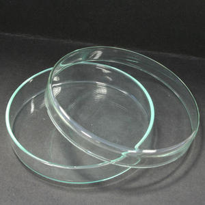 Placa de Petri de Vidrio Borosilicato - Venta al por Mayor, Construcción de Acero Inoxidable de Alta Calidad, 2 Años de Garantía, Uso Clínico y Hospitalario, Personalizable - Product Image 3