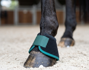 HM GLOBAL Premium - Bota de Montar a Caballo Ergonómica, Diseño Antideslizante, Acolchado de Neopreno, Color Negro Mate con Ribete Verde Azulado, Ligera - Product Image 4