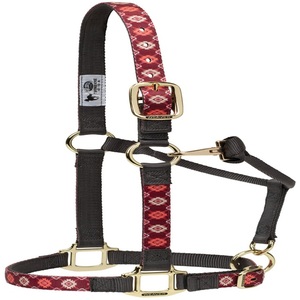 Licol pour cheval en nylon confortable et durable, motif bleu sarcelle et corail, avec quincaillerie en laiton réglable, en nylon épais - Product Image 5