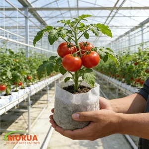 Sacs <span class=keywords><strong>de</strong></span> culture biodégradables en tissu non tissé PE <span class=keywords><strong>de</strong></span> 10 gallons, respirants, durables et économiseurs d'eau pour la maison, le jardin et la pépinière - Product Image 6