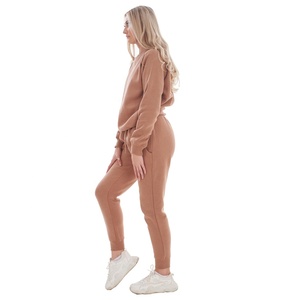 Conjunto Deportivo Informal con Logotipo Personalizado OEM, Sudadera Corta con Capucha y Pantalones Deportivos para Mujer, Conjunto de Dos Piezas para Mujer - Product Image 4