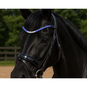 HM Global Premium Elegant U Shaped Multi Color 10 mm Arena Crystal Handmade Horse Browband Luxury Riding Tack - Product Image 5