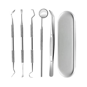 2026 Customized High Quality Stainless Steel Manual Dental Examination Kit with Dental Mirror and <b>Tooth</b> Care <b>Tools</b> - Product Image 4