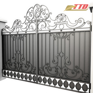 Puerta Doble Tradicional de Hierro Forjado Decorativa con Adornos, Colores Personalizados, Seguridad Reforzada, Entradas Elegantes para Propiedades, Marca TTD - Product Image 4