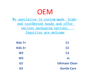 Têtes de brosse à dents électriques compatibles personnalisées W3/C3/G3/W1/W2/C1/C2/G2, poils en nylon doux, usage domestique, garantie 1 an - Product Image 4
