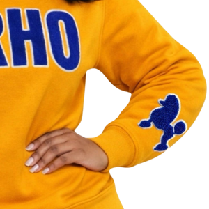 Sweat-shirt en chenille à manches longues Sigma Gamma Rho Gold SGRHO pour femme, mélange de coton, coupe décontractée et élégante - Product Image 4
