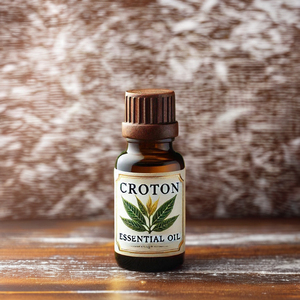 Materia prima de aceite esencial de crotón a granel prensado en frío puro de grado cosmético profesional 100% de Semillas (Croton Tiglium Linn) - Product Image 1
