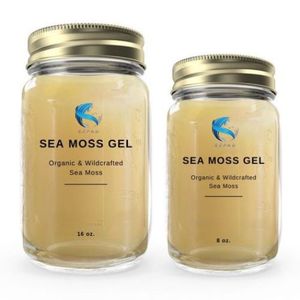 เจลสาหร่ายทะเล EXPAD 500 กรัม เจลจากธรรมชาติที่ได้จากทะเล - Product Image 4