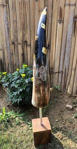 Pieza decorativa de cuerno de diseño para decoración de hoteles, oficinas y recepciones a bajo presupuesto. Elegante pieza decorativa de cuerno de CRAFT ZONE EXPORT. - Product Image 5