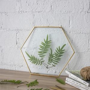 Cadres flottants en verre double de différentes formes et tailles pour fleurs et feuilles pressées – Vente en gros de décorations pour la maison - Product Image 4