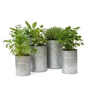 Jardinière Galvanisée Élégante, Pot de Plante d'Intérieur, Conteneur Décoratif en Métal pour Fleurs, Décoration de Salon et de Jardin - Product Image 4