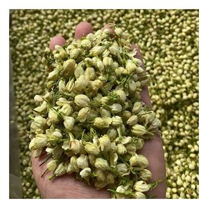 Vietnam exporta botones de jazmín secos naturales, flores enteras para la producción de té, ingrediente para bebidas y suministro al por mayor. - Product Image 5