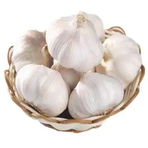 Aglio Dorato Cinese di Alta Qualità, Dimensione Grande <span class=keywords><strong>9</strong></span>,6 cm, Alta Resa, Aglio Fresco per il Commercio Globale - Product Image 6