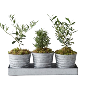 Macetas Vintage Hechas a Mano, Macetas de Zinc Pintadas de Blanco para Jardín y Hogar, Macetas Decorativas de Metal para Flores y Plantas - Product Image 4
