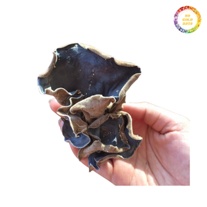 Dried <b>Black</b> Cloud Ear Fungus Bulk Product with Even Thickness and Affordable Price - Product Image 5
