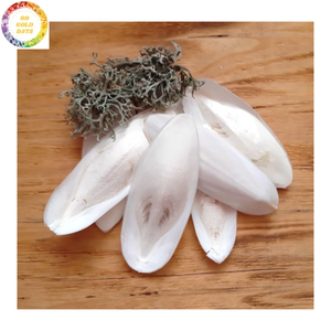 Os de Seiche Frits Sous Vide de Qualité Supérieure, Friandise Minérale Séchée pour Oiseaux (Perroquet, Budgie, Canari, Pinson), Fournitures pour Animaux de Compagnie en Gros - Product Image 5