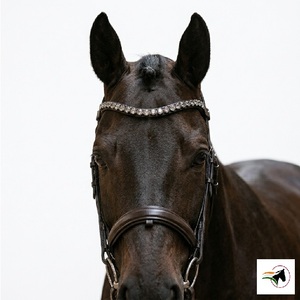 Time Saving Quick <b>Change</b> Horse Browband Custom Genuine Leather 10 mm Grey Rivoli Bling Crystal Curved Design for Bridles - Product Image 2