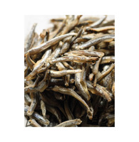 Anchois séchés fiables certifiés HACCP provenant de fournisseurs de produits de la mer de premier plan