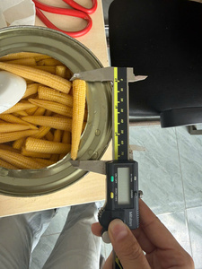Maíz enlatado entero en salmuera listo para comer, producto vietnamita de calidad alimentaria, venta al por mayor, exportación, proveedor OEM de marca privada, ¡novedad 2026! - Product Image 3