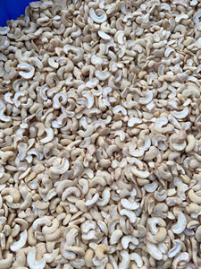 Nueces de Anacardo Crudas Comestibles WW180 WW210 con Humedad Inferior al 4.8% de Vietnam, Exportadas al por Mayor a Asia, la UE y Oriente Medio por SANTIGO - Product Image 1