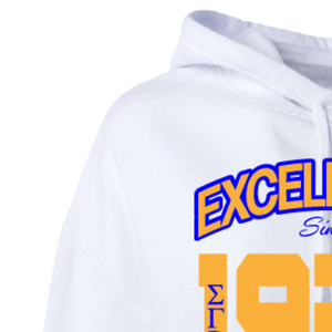 Sudadera con capucha corta Sigma Gamma Rho para mujer, sudadera de forro polar con estampado personalizado de la hermandad, ropa informal moderna para la calle - Product Image 2