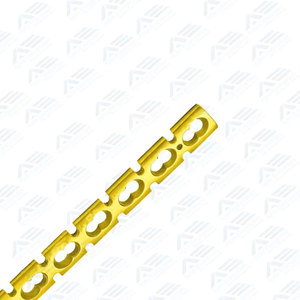 Plaques chirurgicales personnalisées pour implants orthopédiques vétérinaires en acier inoxydable pour reconstruction, avec système de verrouillage, certifiées CE - Product Image 5