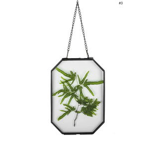 Cadre photo géométrique hexagonal en métal et verre, finition laiton de qualité supérieure, pour fleurs pressées et plantes séchées - Product Image 3