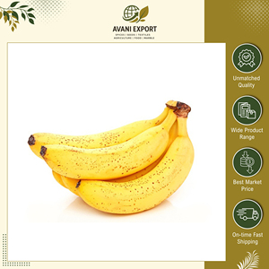 Mejor Precio de Mercado, Gran Oferta en Plátanos Frescos de Primera Calidad, Sabor Dulce, Naturales y Orgánicos, de un Fabricante Indio - Product Image 5