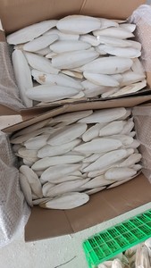 Os de Seiche Entier Séché 20CM+ Qualité Supérieure Faible Teneur en Matières Grasses Protéines Emballage en Vrac Ba Ria-Vung Tau Vietnam Vitamines Durée de Conservation 2 Ans 99GD - Product Image 6