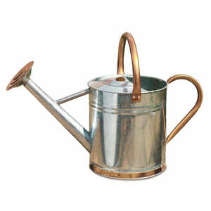 Arrosoir en métal style ferme, finition argentée galvanisée, pour usage intérieur et extérieur, arrosoirs anti-fuite - Product Image 5