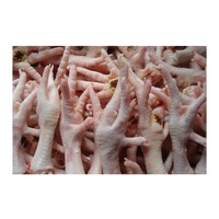 Patas de Pollo Halal Congeladas Orgánicas de Primera Calidad con Vitaminas, Gran Venta |   Corte de Paquetes a Granel