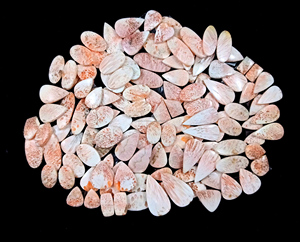 Natural Pink Scolecite Pair Cabochon Loose Gemstone <b>Healing</b> <b>Crystal</b> Quartz Wholesale Bulk Gemstone Cabs - Product Image 1