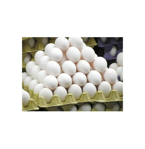 ไข่ไก่สดธรรมชาติพรีเมียมสีขาวและสีน้ำตาล ไข่แดงโปรตีนสูง เกรดอาหาร ขายส่งจำนวนมาก รับผลิตแบบ OEM - Product Image 6