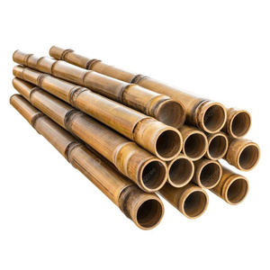 Varas de Bambú Tratadas de Alta Calidad, Estacas de Bambú Duraderas para Agricultura - Product Image 3