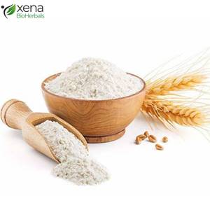 Fournisseur en gros d'extrait de protéine de blé soluble dans l'huile, ingrédient naturel pour les produits de soins personnels - Product Image 2
